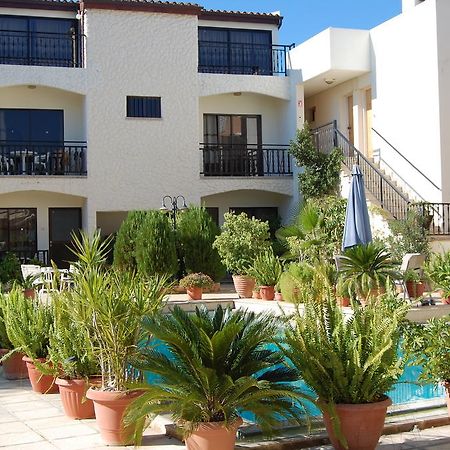 Nicos & Olympia Apartments Polis Kültér fotó
